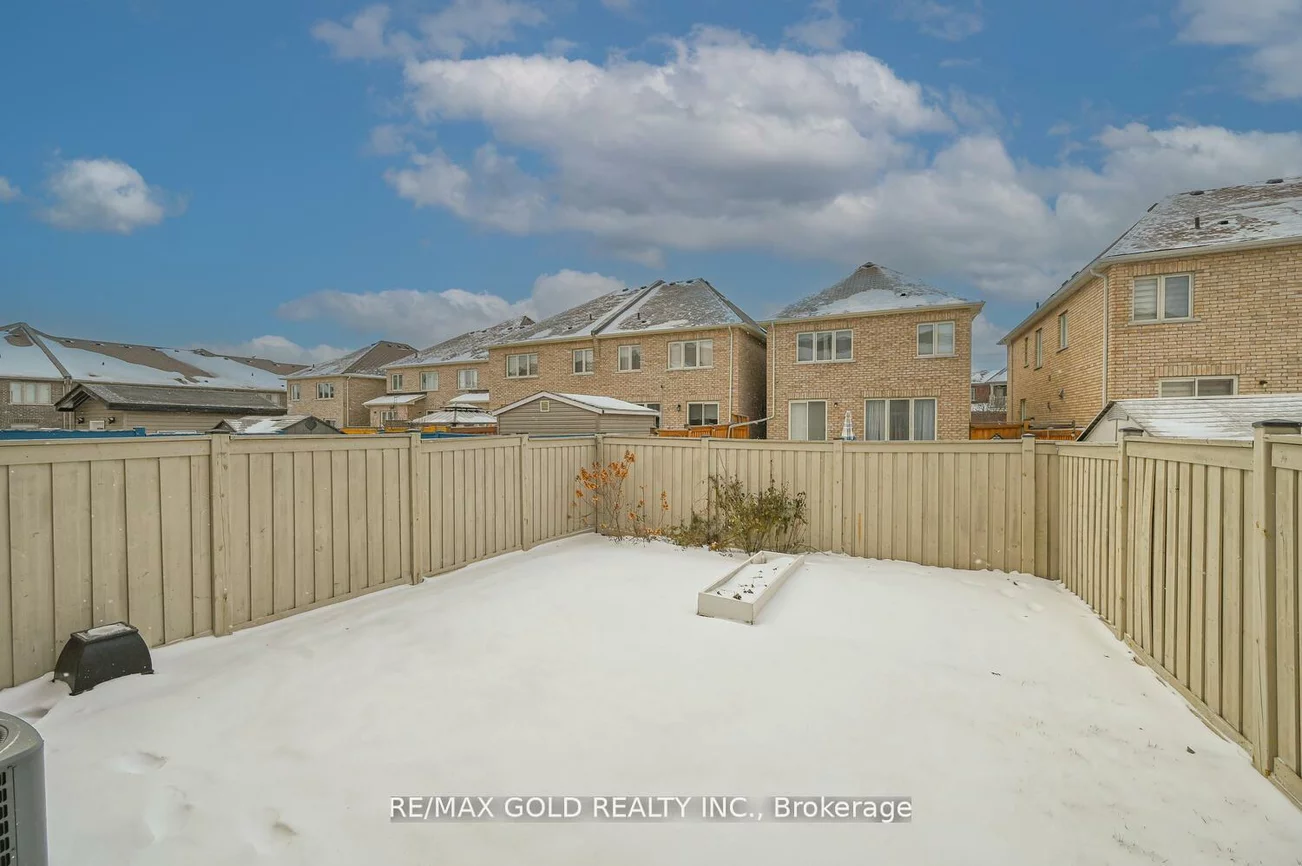 67, Zelda, Sandringham-Wellington North, Brampton