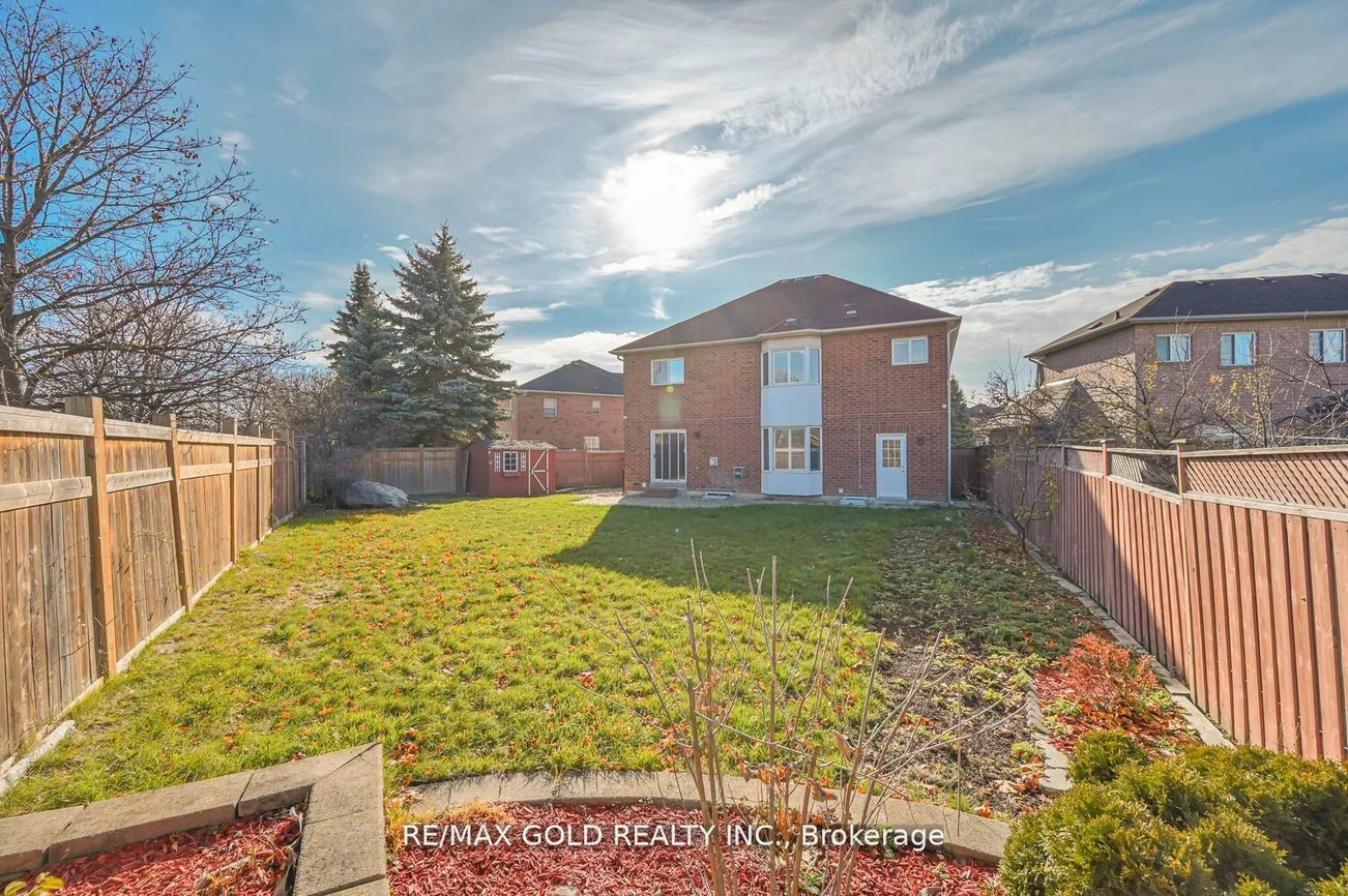 51, Jack Rabbit, Sandringham-Wellington, Brampton