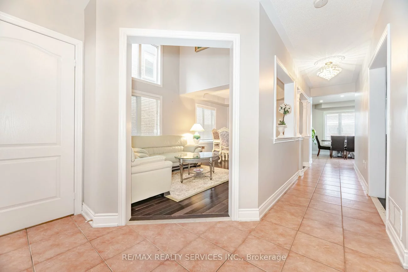 39, Rattlesnake, Sandringham-Wellington, Brampton