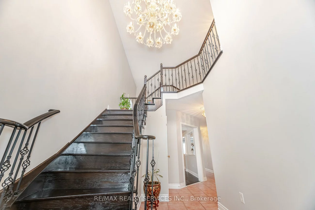 39, Rattlesnake, Sandringham-Wellington, Brampton