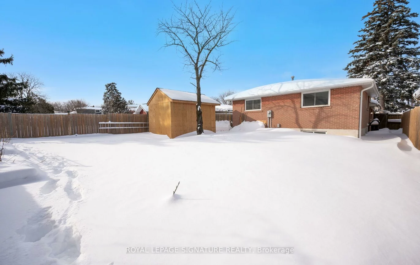 73, Watson, Brampton East, Brampton