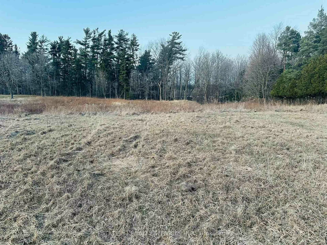 10231, Old Pinecrest, Northwest Brampton, Brampton