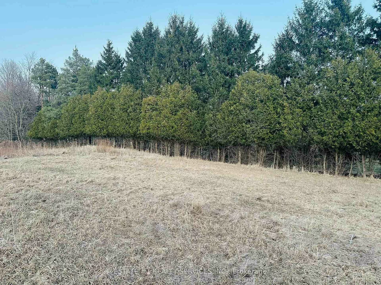 10231, Old Pinecrest, Northwest Brampton, Brampton