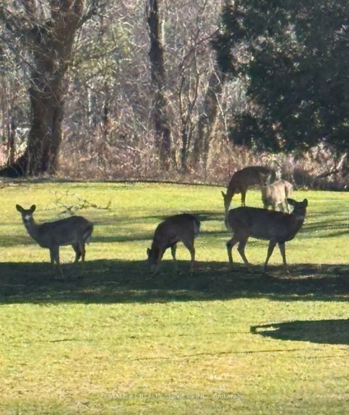 10231, Old Pinecrest, Northwest Brampton, Brampton