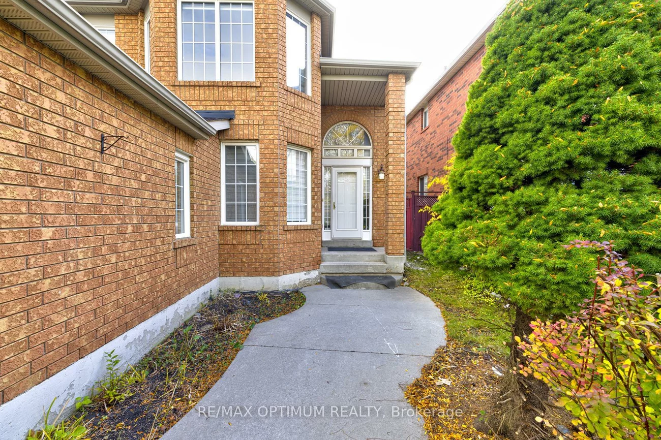13, Ribbon, Sandringham-Wellington, Brampton