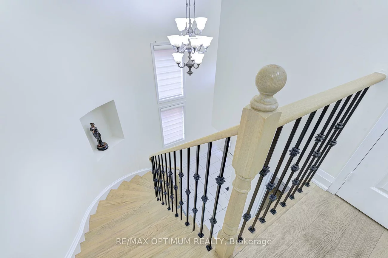 13, Ribbon, Sandringham-Wellington, Brampton