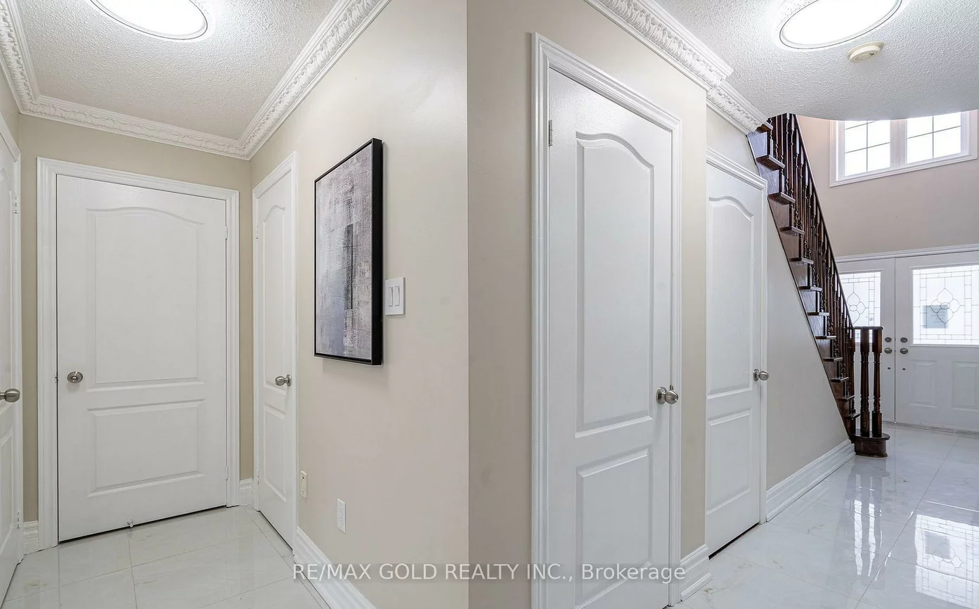 10, Leopard, Sandringham-Wellington, Brampton