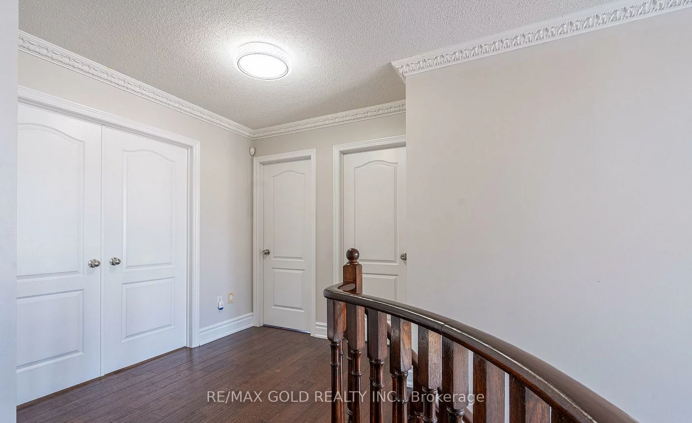 10, Leopard, Sandringham-Wellington, Brampton