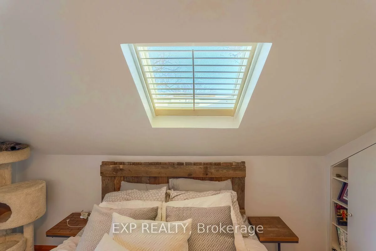 7, David, Downtown Brampton, Brampton