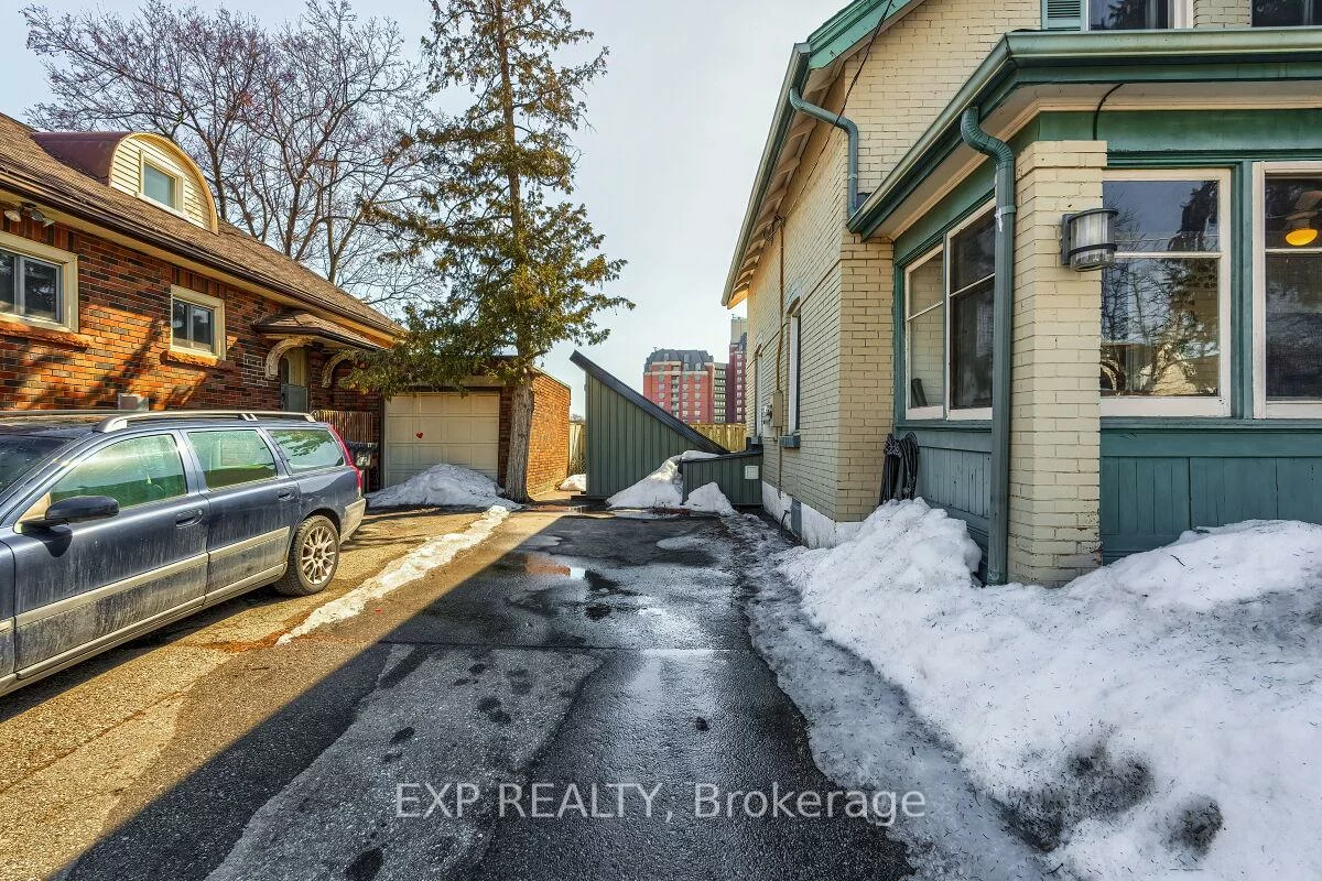 7, David, Downtown Brampton, Brampton