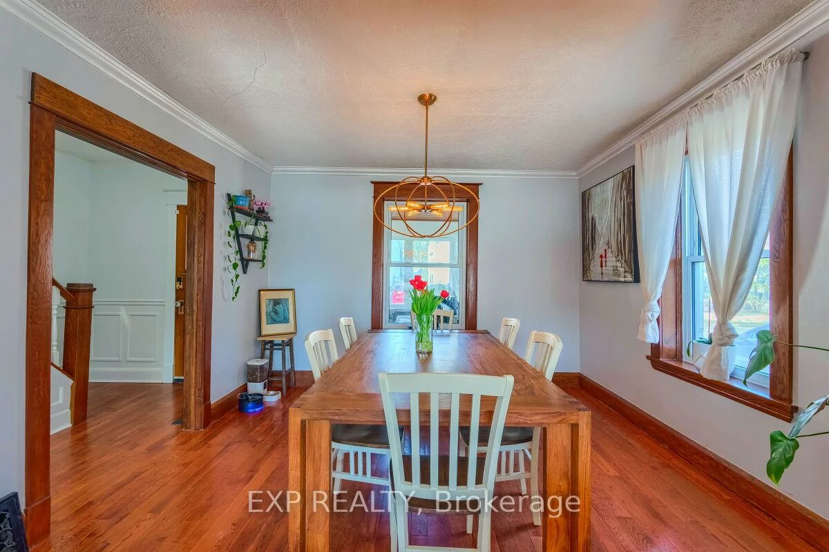 7, David, Downtown Brampton, Brampton