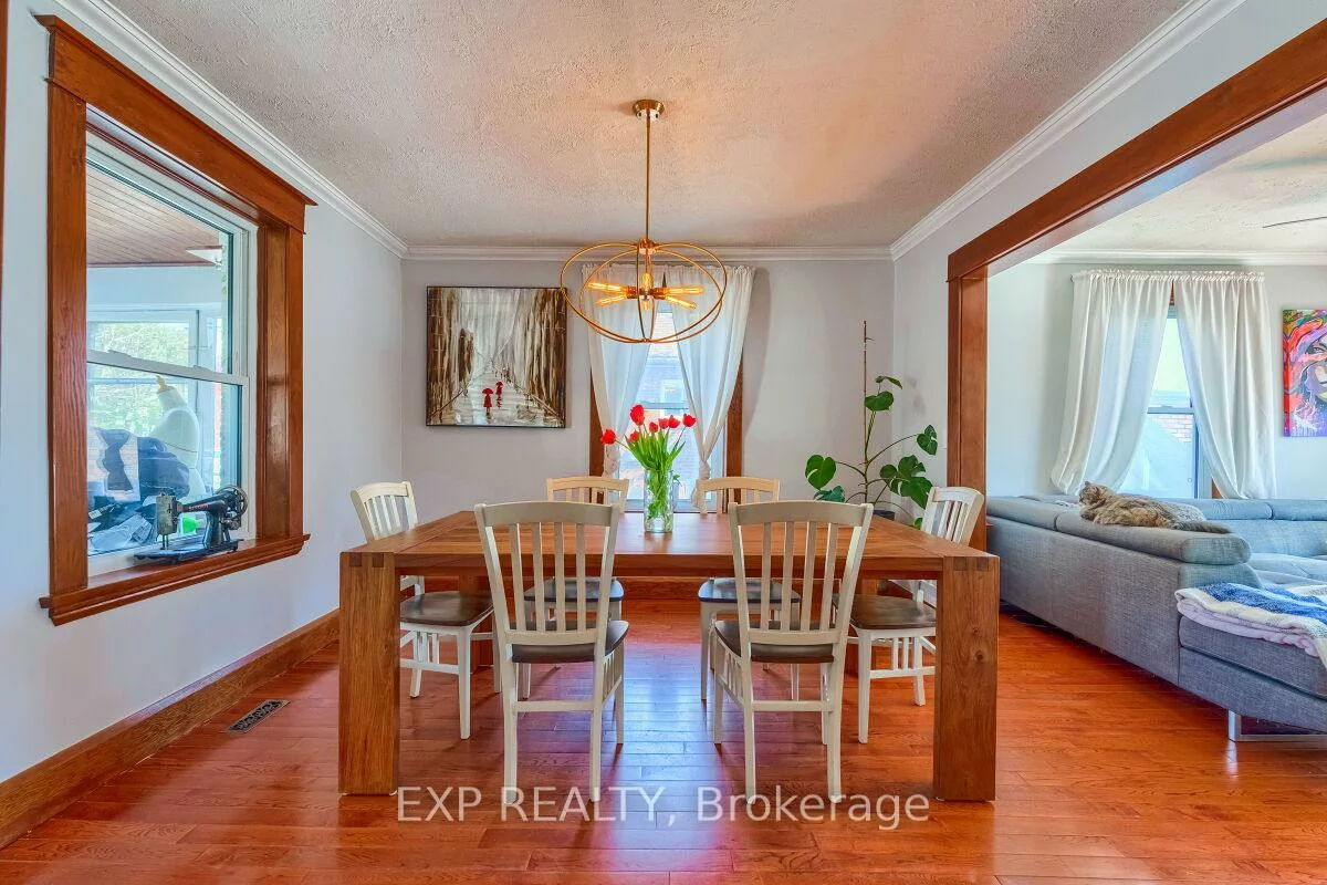 7, David, Downtown Brampton, Brampton