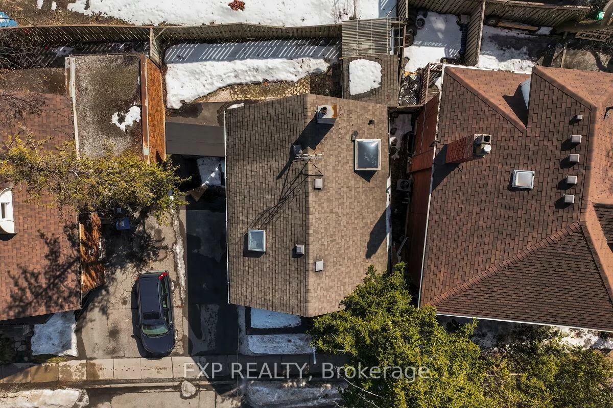 7, David, Downtown Brampton, Brampton