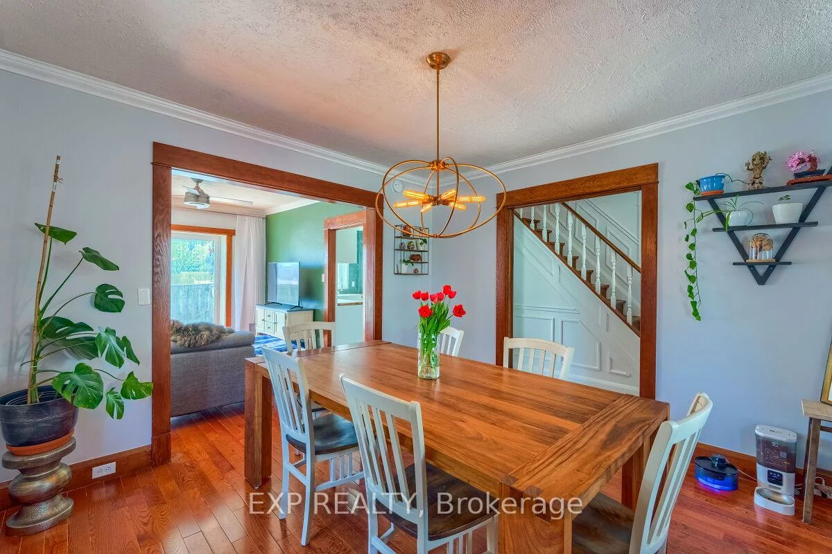 7, David, Downtown Brampton, Brampton