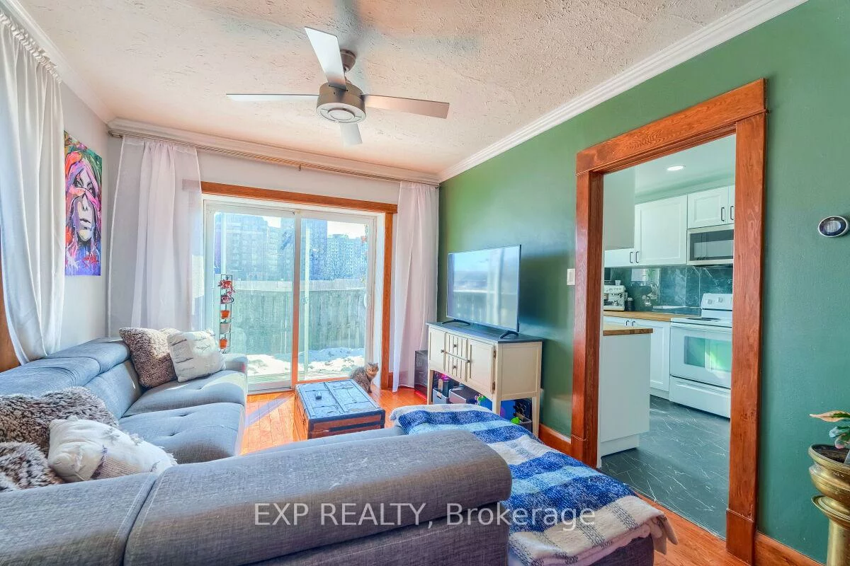 7, David, Downtown Brampton, Brampton