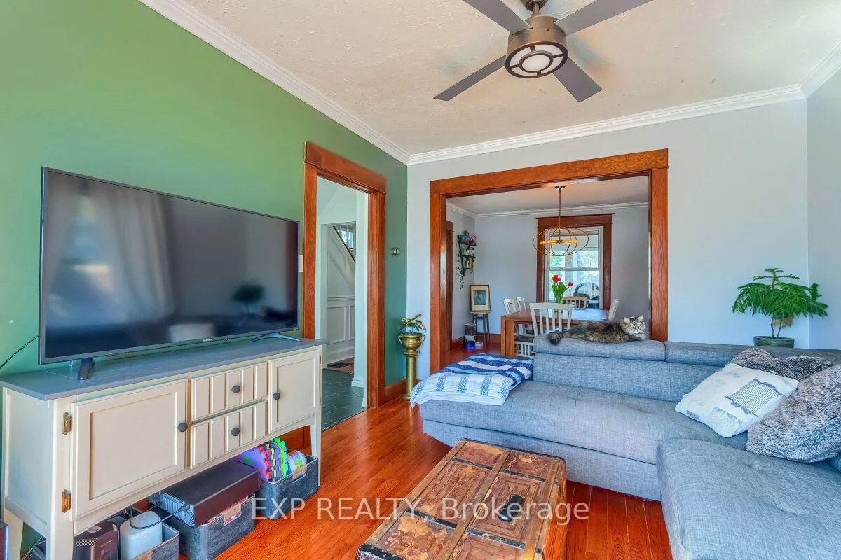 7, David, Downtown Brampton, Brampton