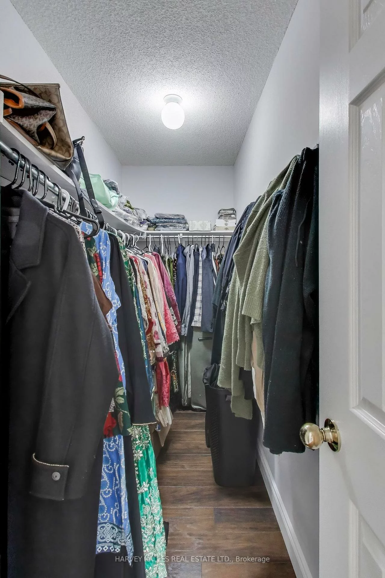 29, Ness, Bram West, Brampton