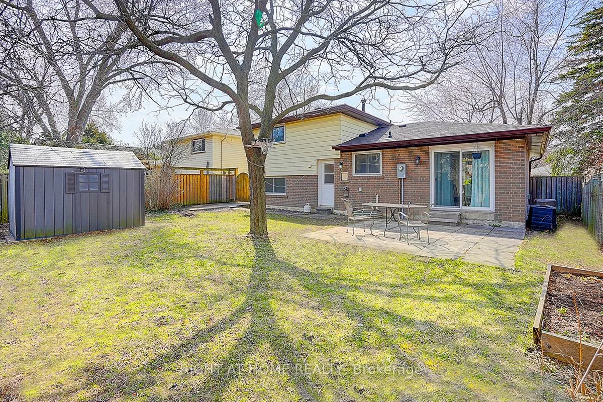 11, Tullamore, Brampton East, Brampton