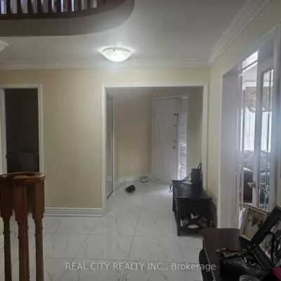 37, Bobcat, Sandringham-Wellington, Brampton