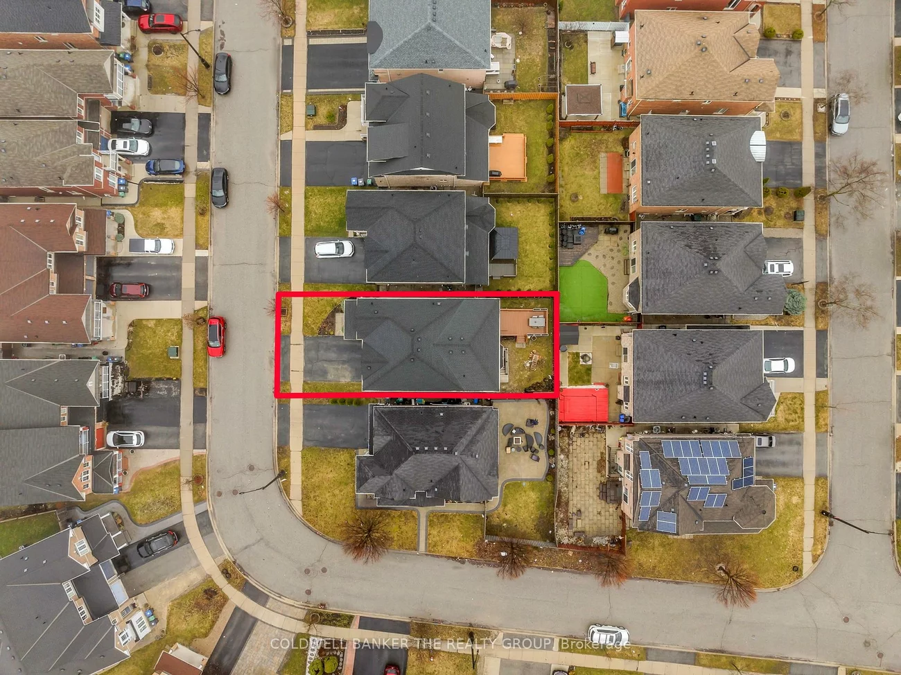 54, Iceland Poppy, Northwest Sandalwood Parkway, Brampton