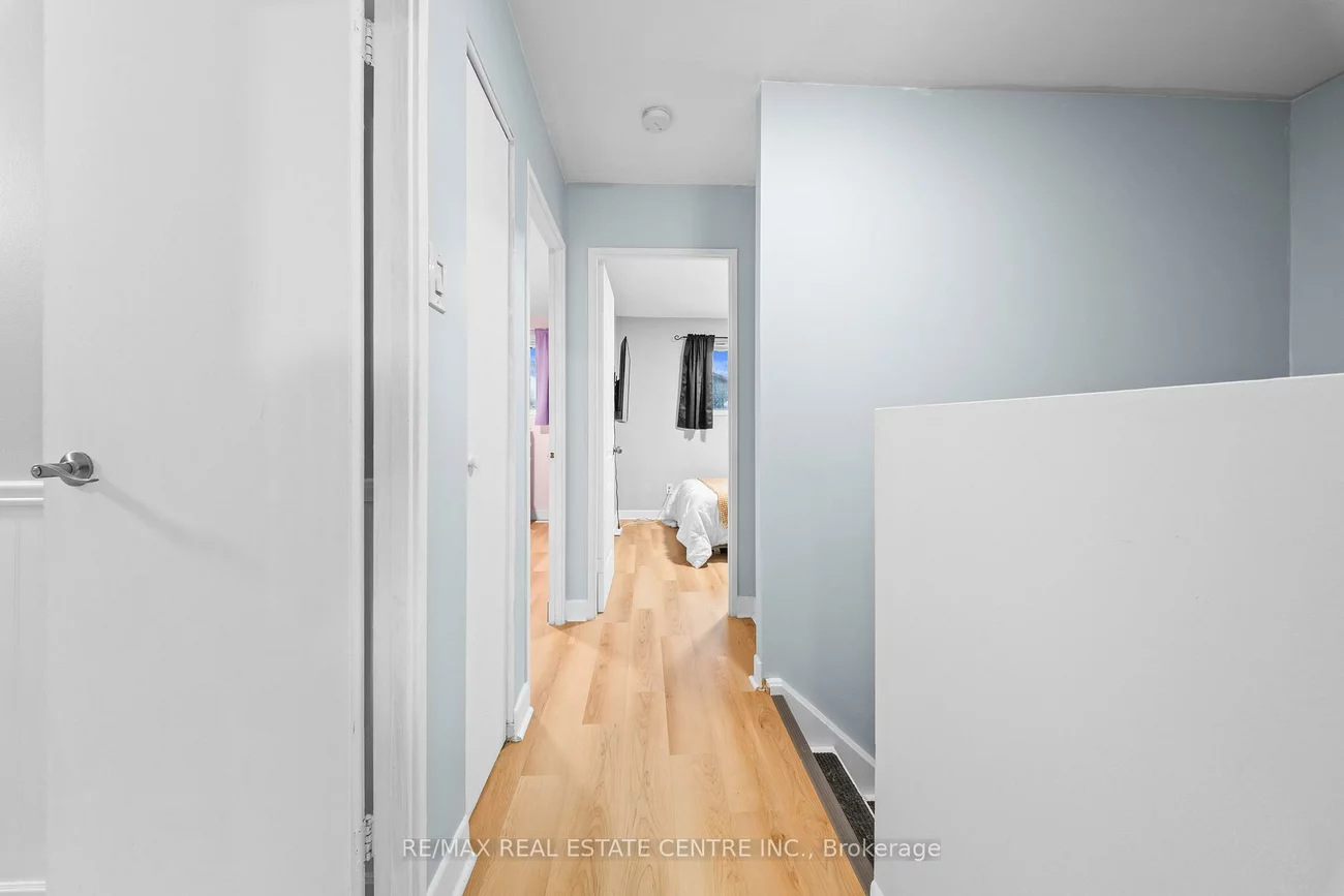 101, Griselda, Northgate, Brampton