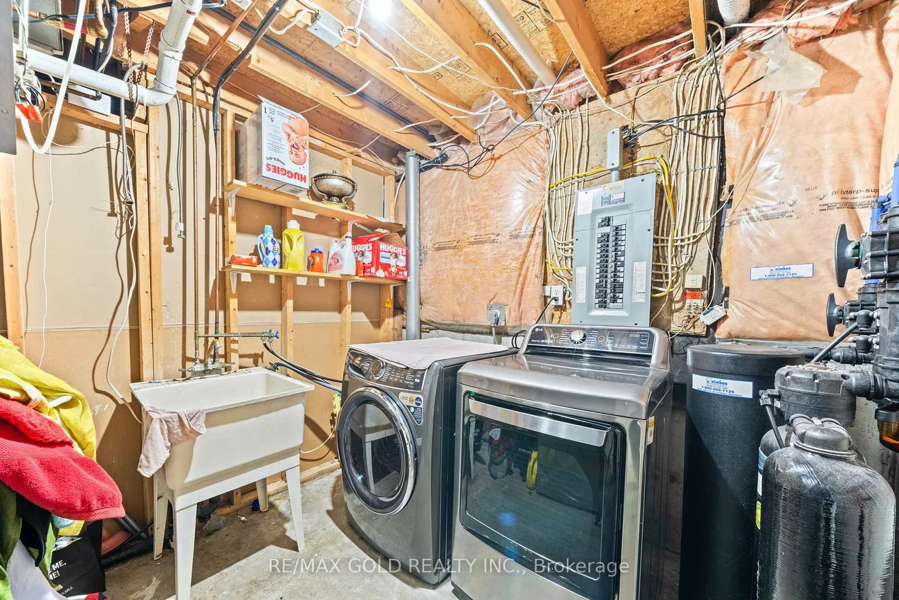 92, Dandelion, Sandringham-Wellington, Brampton