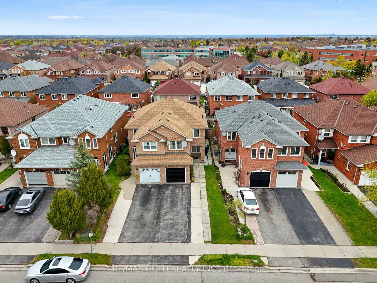 92, Dandelion, Sandringham-Wellington, Brampton