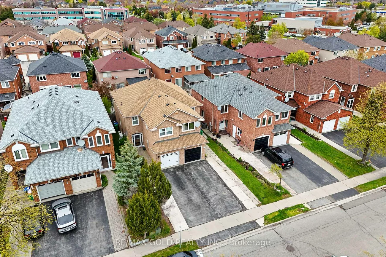 92, Dandelion, Sandringham-Wellington, Brampton