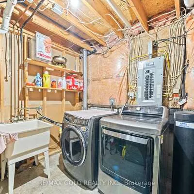 92, Dandelion, Sandringham-Wellington, Brampton