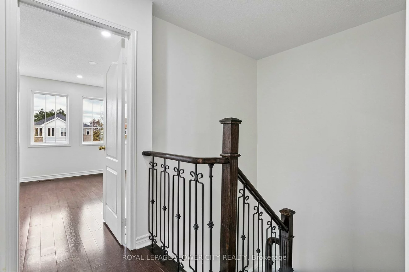 99, Cordgrass, Sandringham-Wellington, Brampton