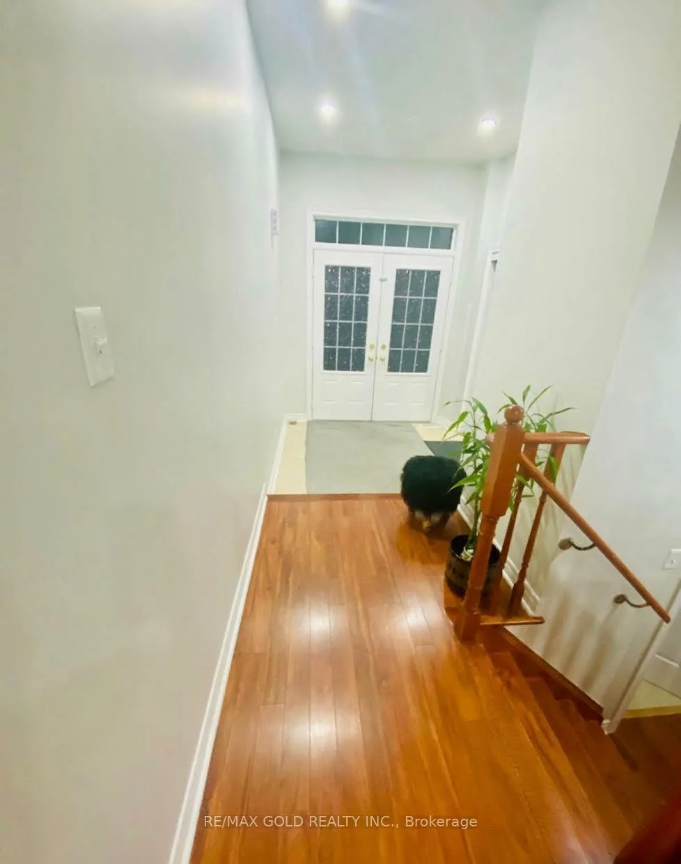 60, Swales, Sandringham-Wellington, Brampton