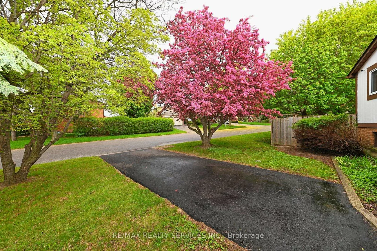 65, Massey, Central Park, Brampton