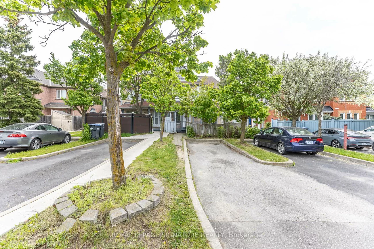 60, Blue Spruce, Sandringham-Wellington, Brampton