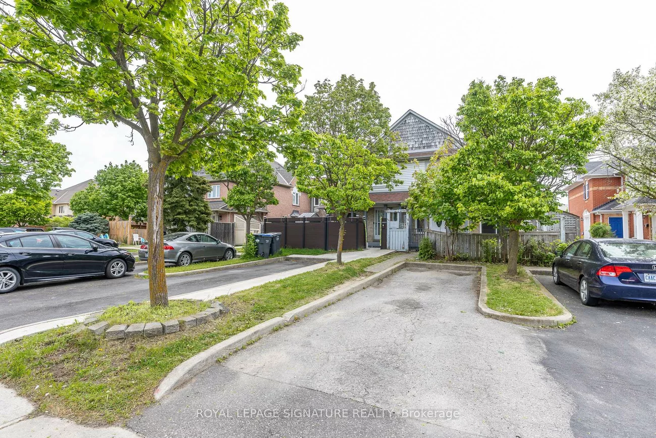 60, Blue Spruce, Sandringham-Wellington, Brampton