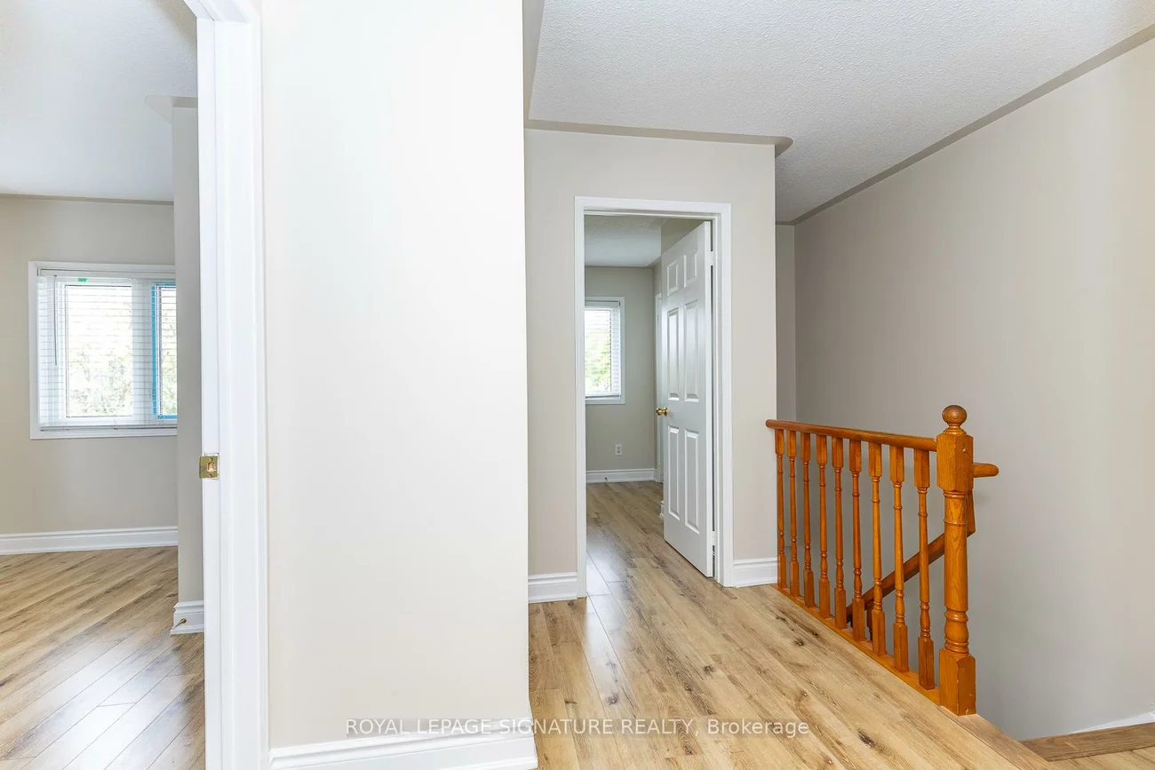 60, Blue Spruce, Sandringham-Wellington, Brampton