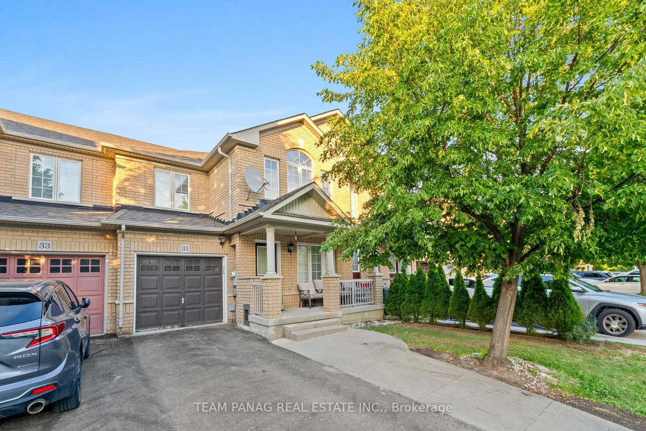 31, Snowshoe, Sandringham-Wellington, Brampton