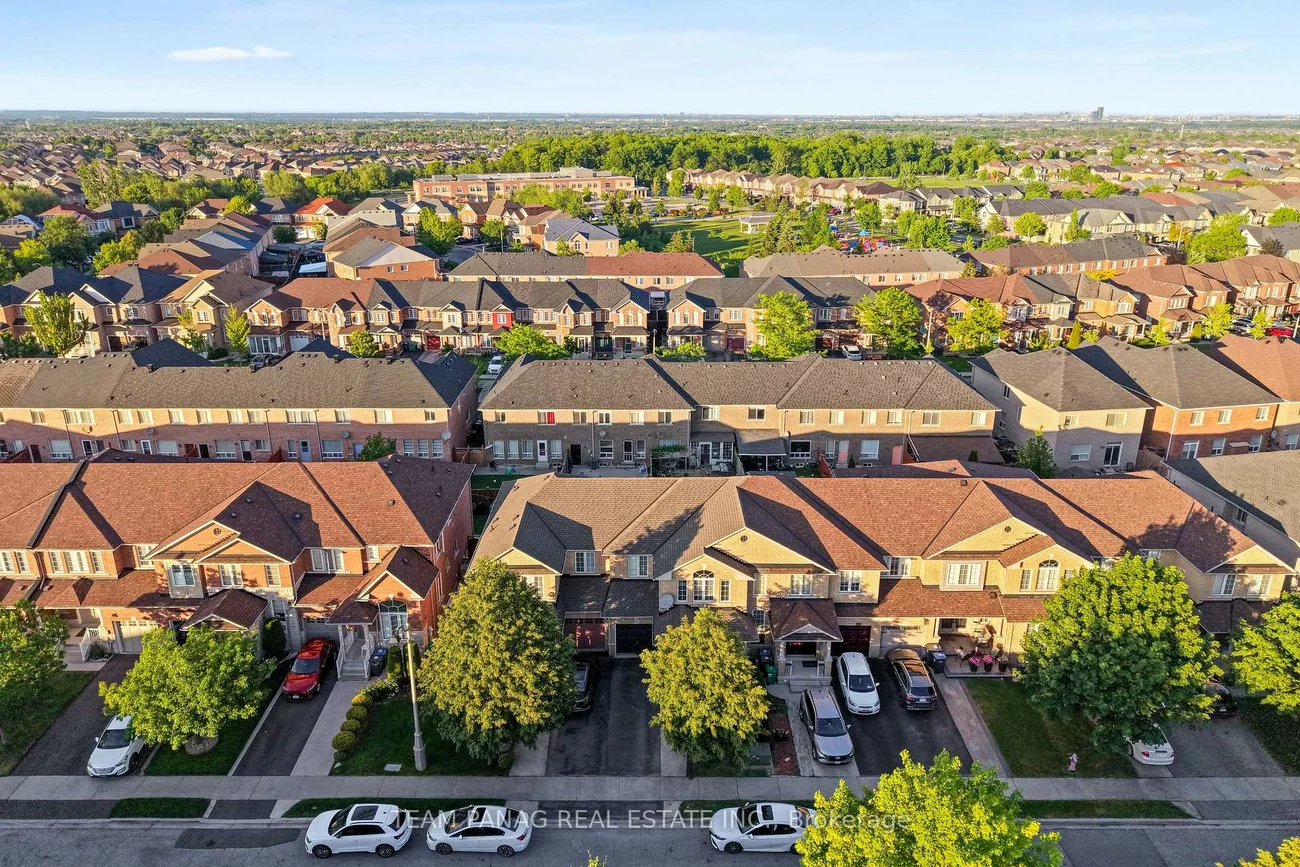 31, Snowshoe, Sandringham-Wellington, Brampton