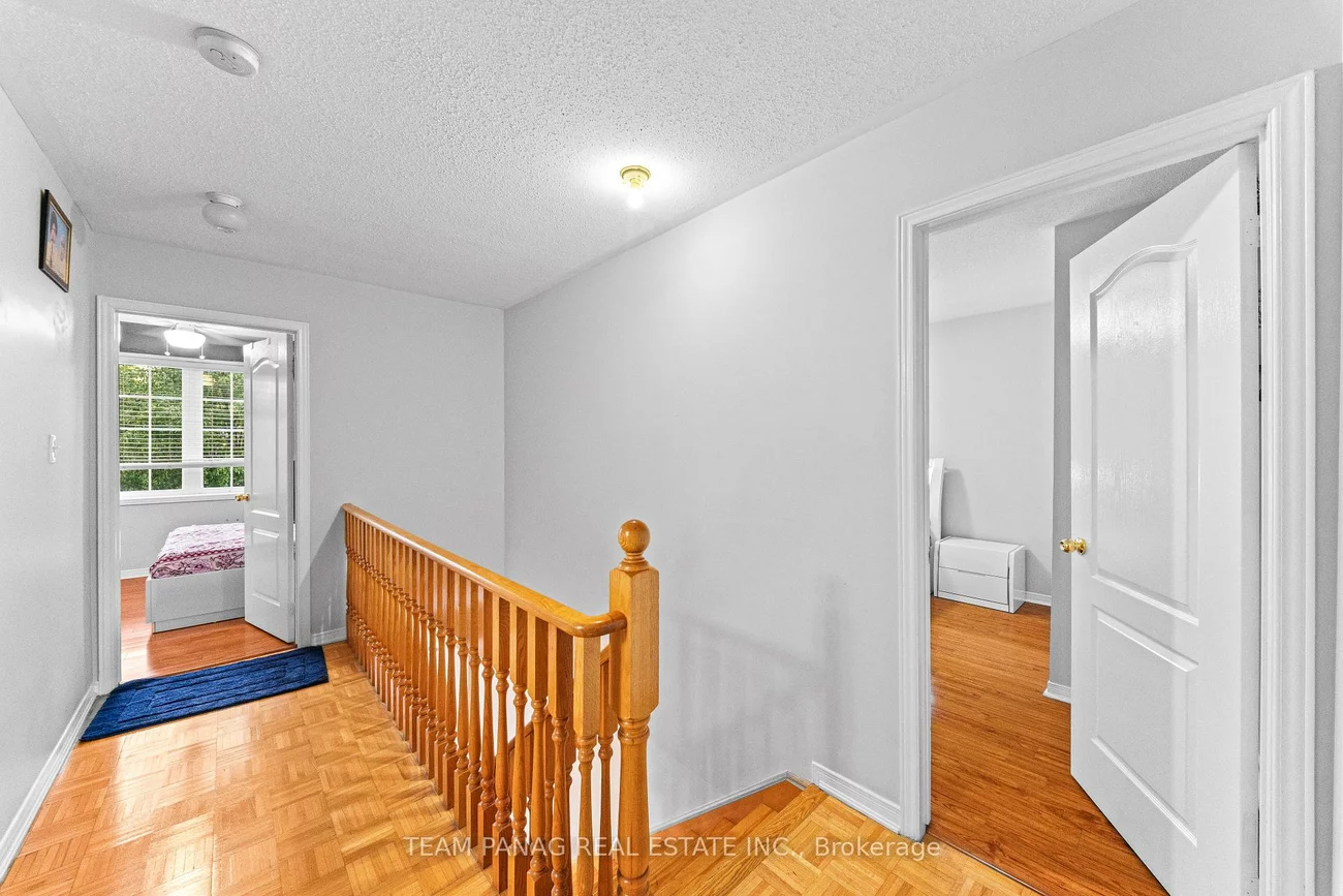 31, Snowshoe, Sandringham-Wellington, Brampton