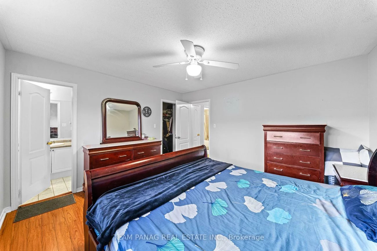 31, Snowshoe, Sandringham-Wellington, Brampton