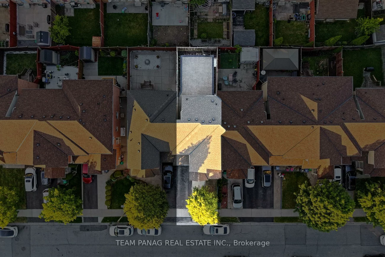 31, Snowshoe, Sandringham-Wellington, Brampton
