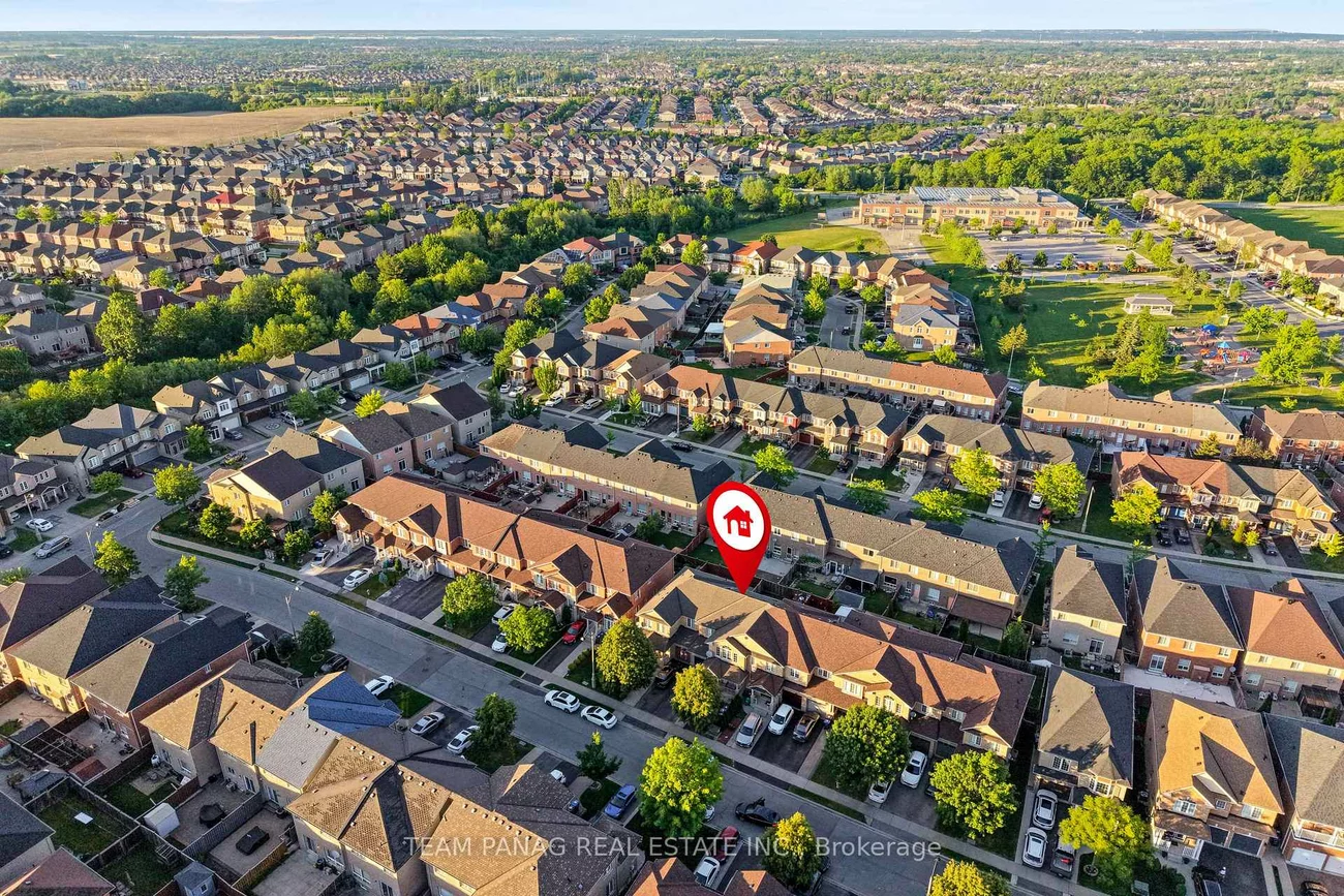 31, Snowshoe, Sandringham-Wellington, Brampton