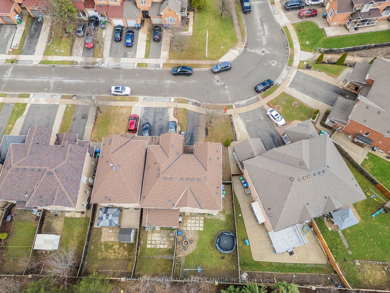 94, Earth Star, Sandringham-Wellington, Brampton