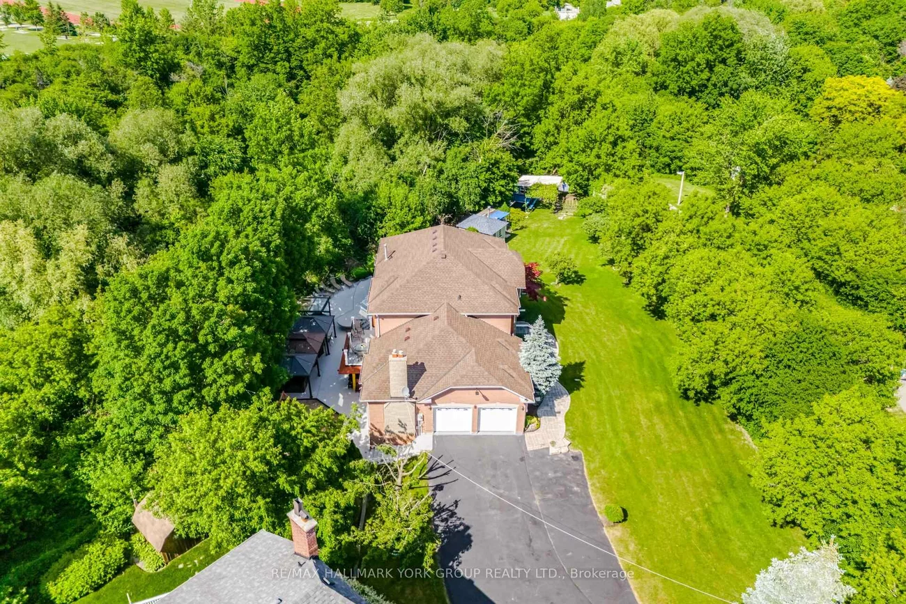 7, Andes, Sandringham-Wellington, Brampton