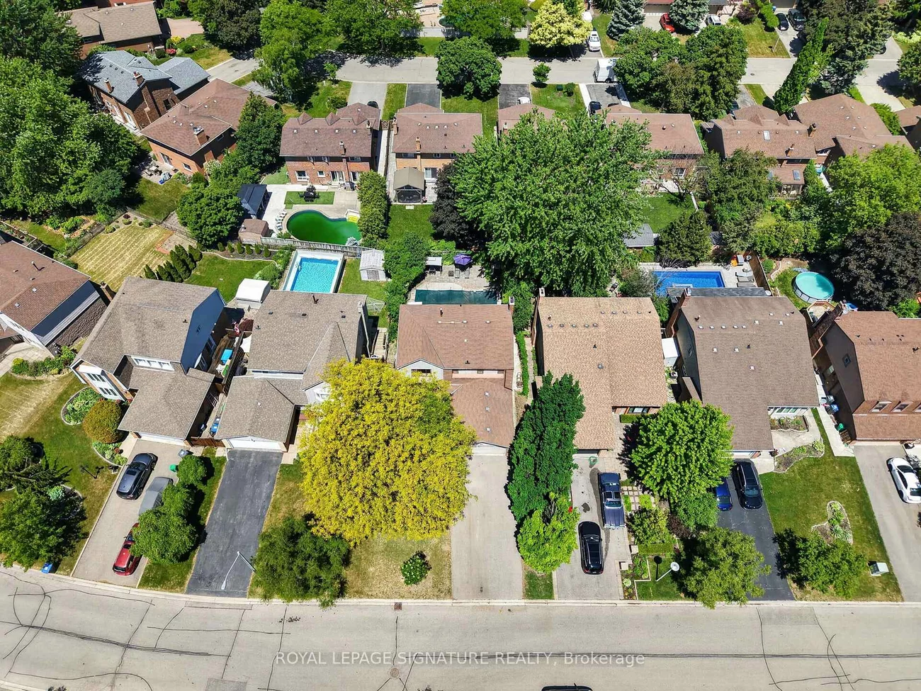 29, Mansfield, Central Park, Brampton