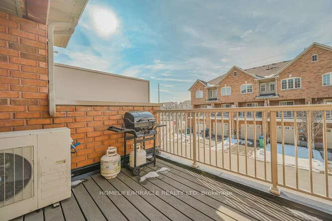 45, Peach, Sandringham-Wellington, Brampton
