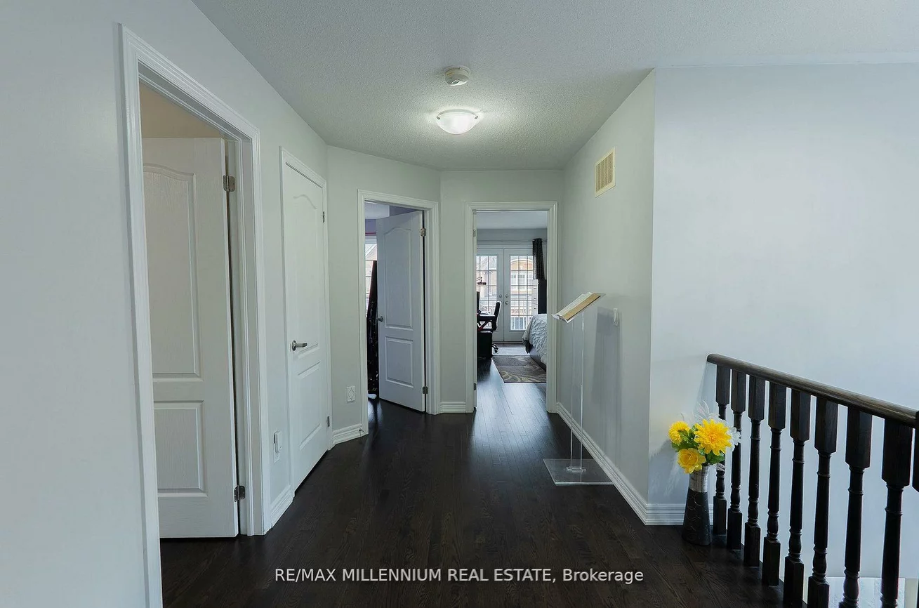 8, Zelda, Sandringham-Wellington North, Brampton