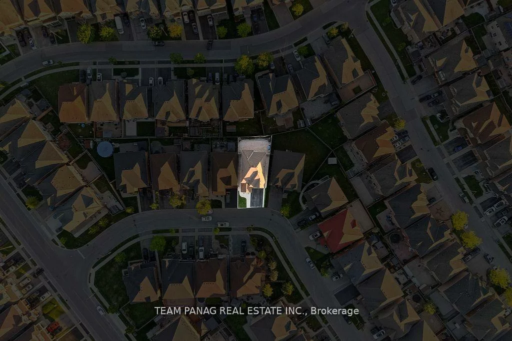 11, Powell, Sandringham-Wellington, Brampton