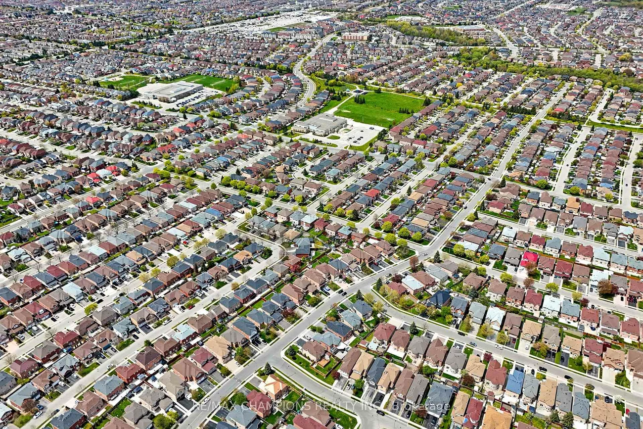 3, Fiddleneck, Sandringham-Wellington, Brampton