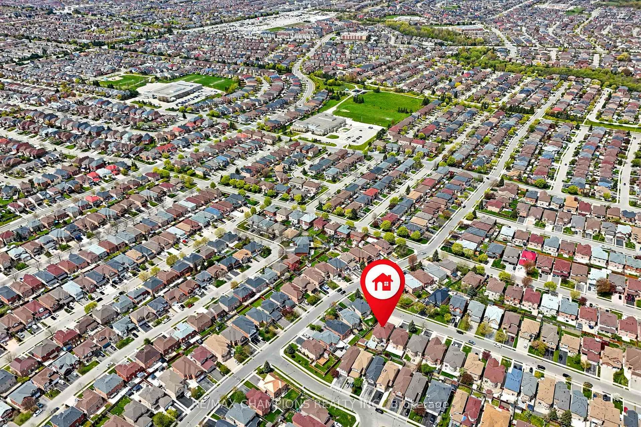 3, Fiddleneck, Sandringham-Wellington, Brampton