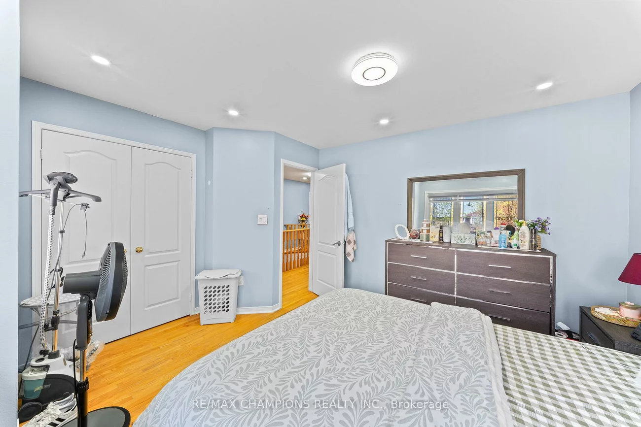 3, Fiddleneck, Sandringham-Wellington, Brampton